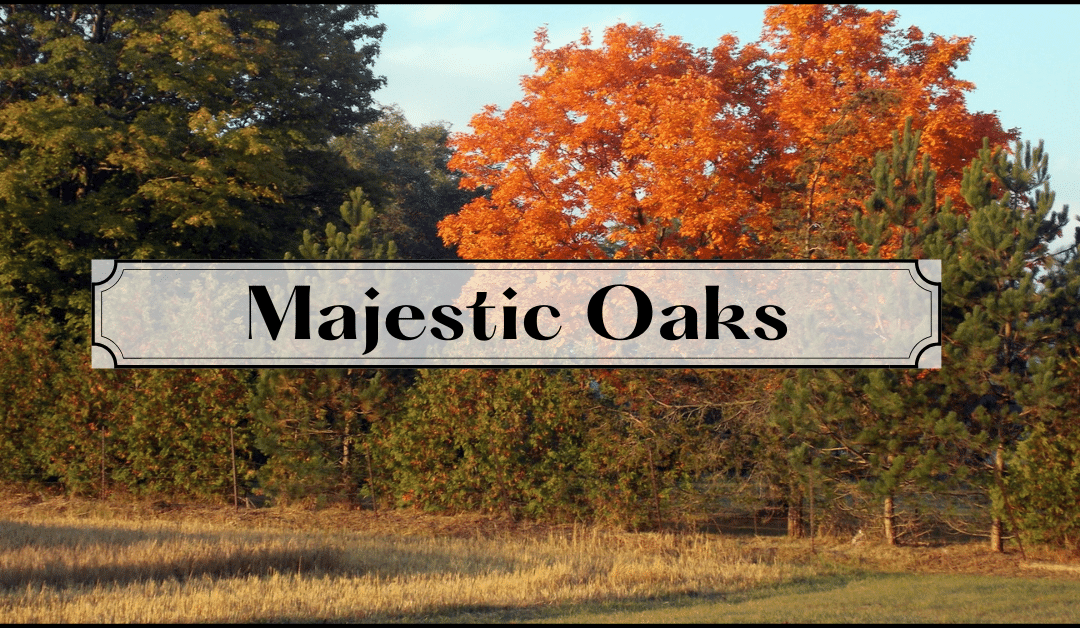 Majestic Oaks: Large Acreage Lots Near the City